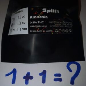 Amnesia photo review